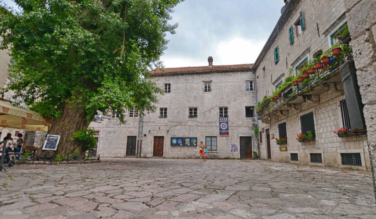 cultural-center-nikola-djurkovic-tokotor