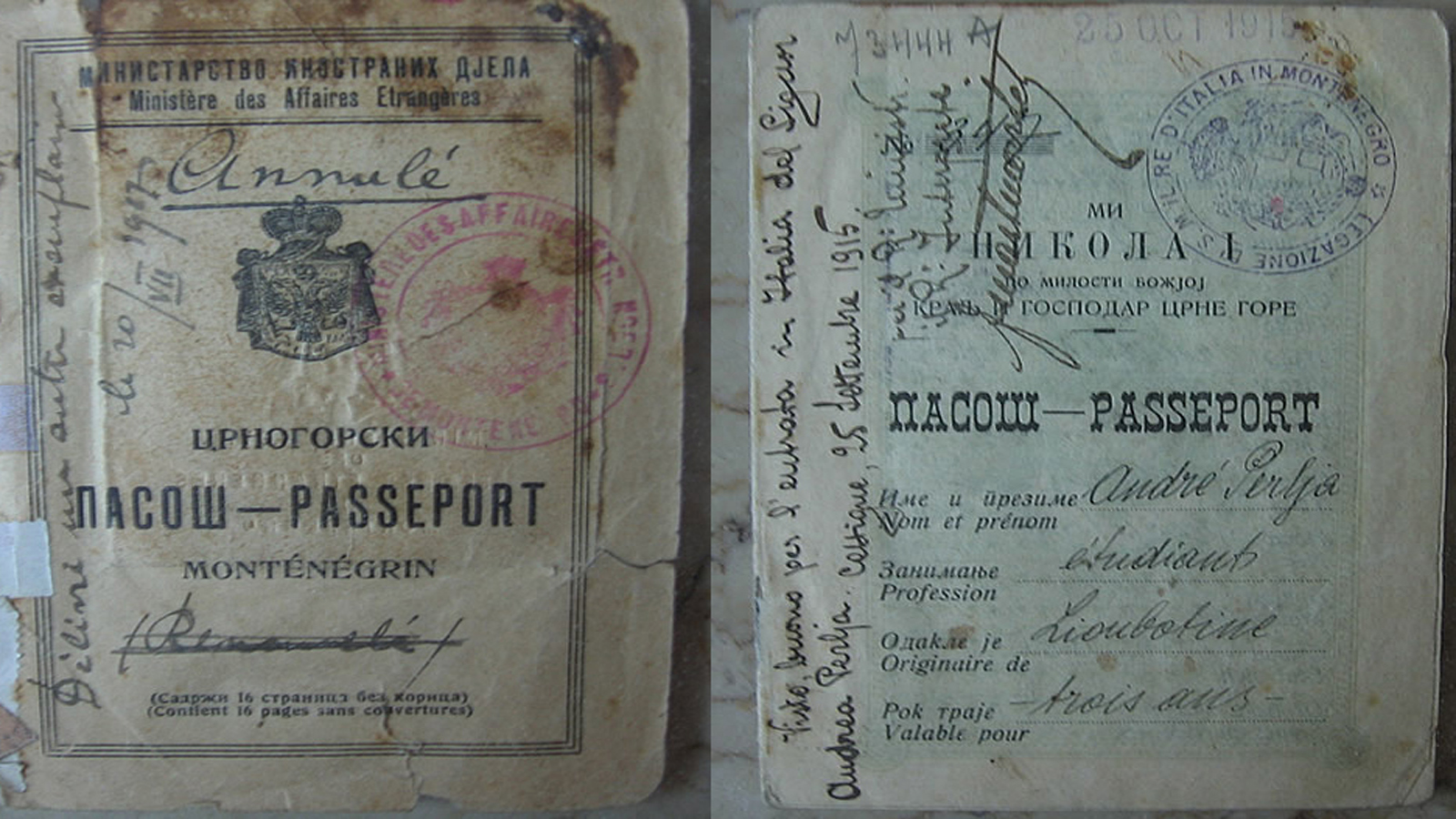 Montenegro passports